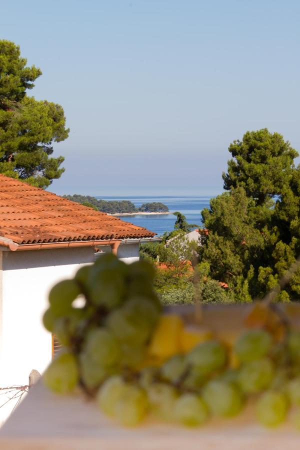 Studio Apartman Nega 2 Rovinj Exteriör bild