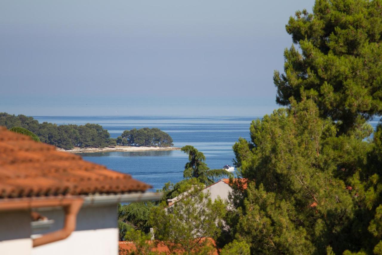 Studio Apartman Nega 2 Rovinj Exteriör bild
